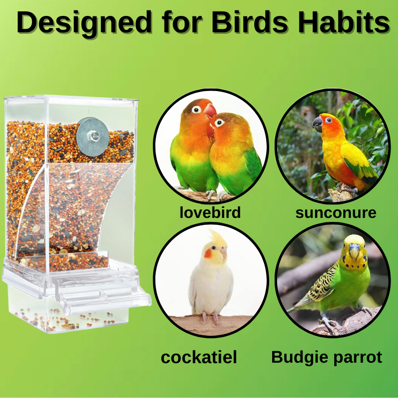 Duvefeeder⢠No Mess Automatic Bird Feeder