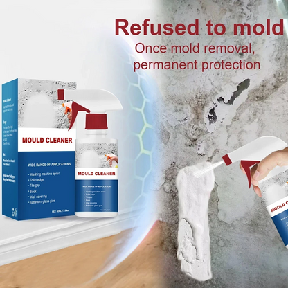 Mold Cleaner