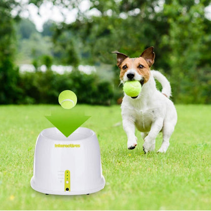 Automatic Tennis Ball Launcher Dog Training Toy